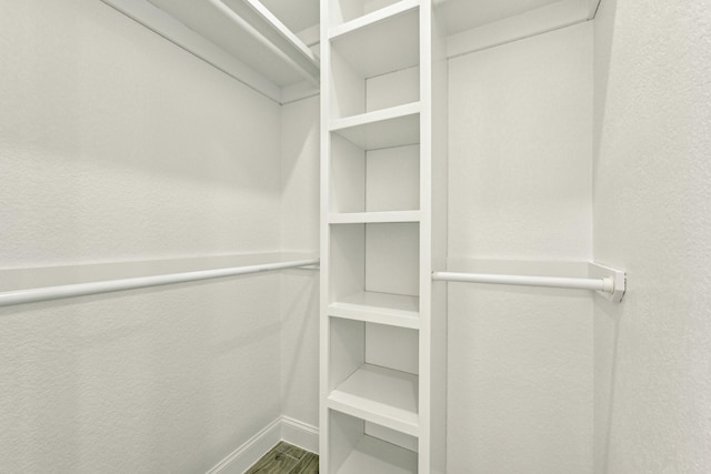 spacious closet with wood-type flooring