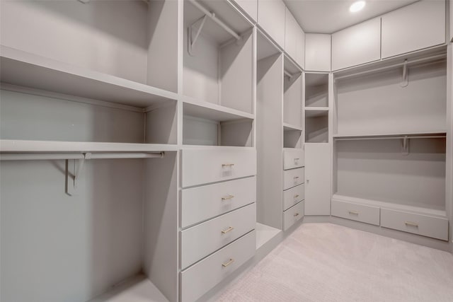 spacious closet featuring light colored carpet