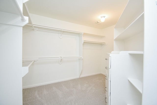 spacious closet with light colored carpet