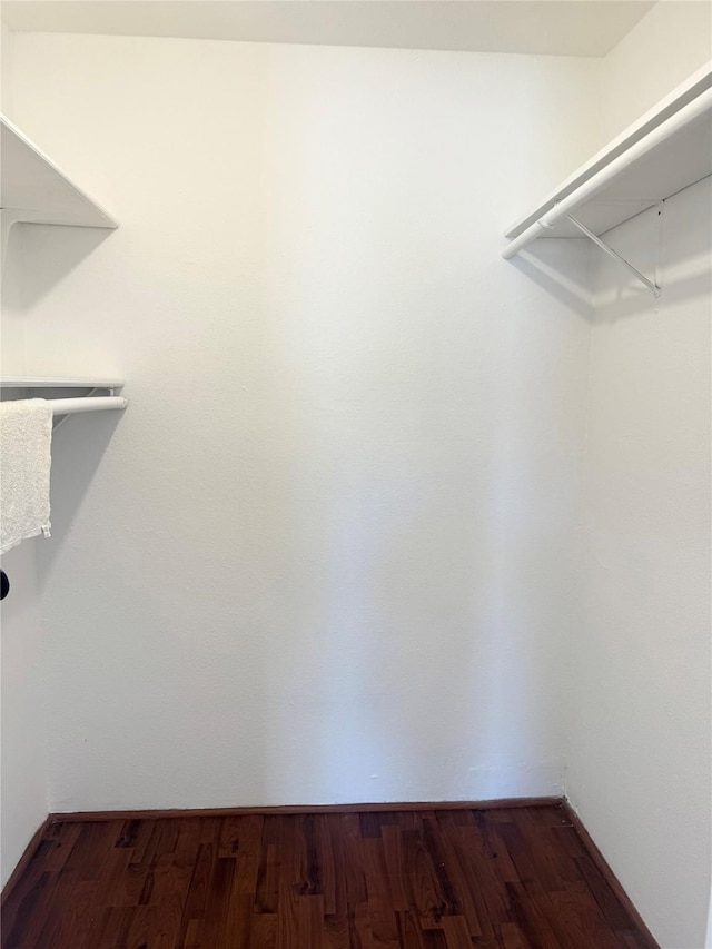 spacious closet featuring dark wood-type flooring