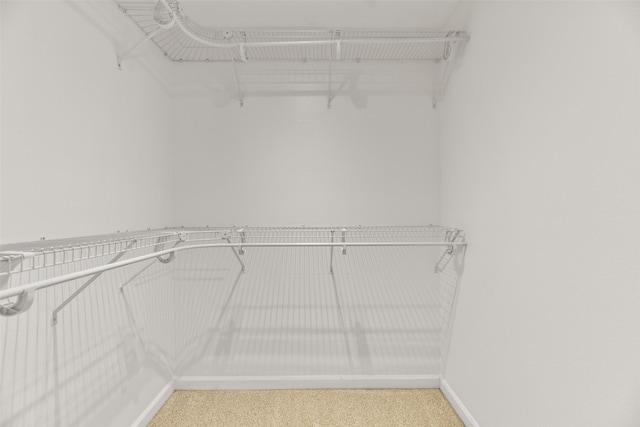 spacious closet with carpet flooring