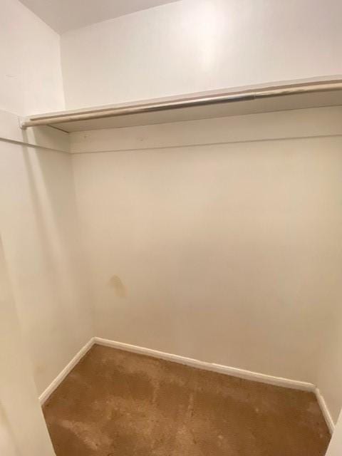 spacious closet featuring carpet flooring