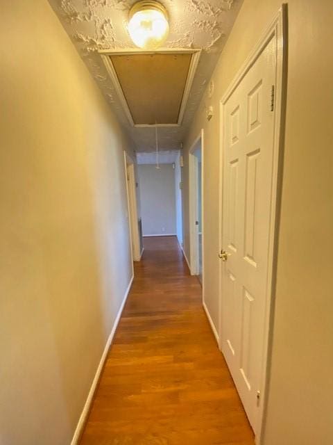 corridor with hardwood / wood-style floors