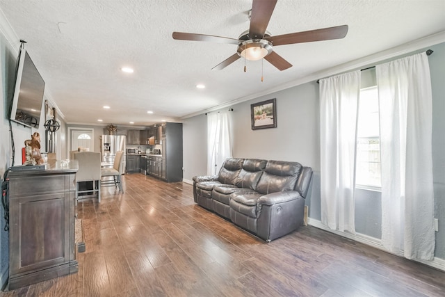 living room with crown molding, ceiling fan, dark wood-type flooring, and a textured ceiling