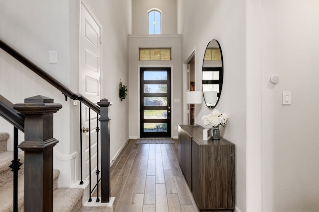 foyer entrance with a high ceiling and a wealth of natural light