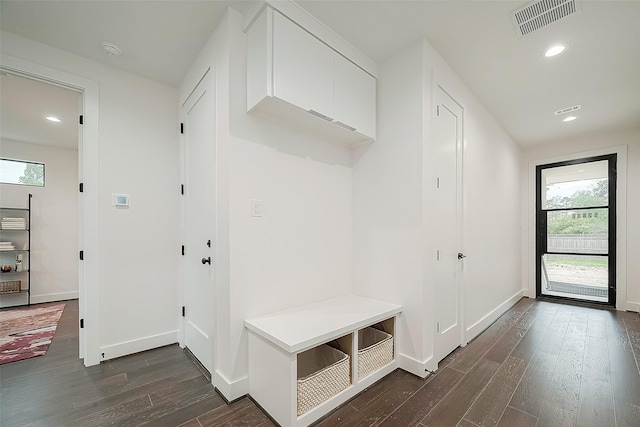 mudroom with dark wood-type flooring