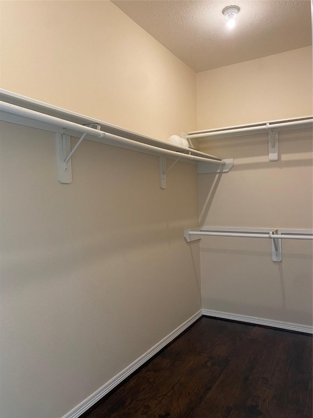 walk in closet featuring dark hardwood / wood-style floors