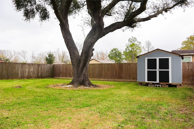 view of yard with a shed