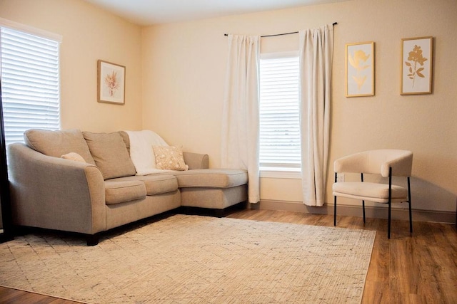 living room with wood-type flooring and a wealth of natural light