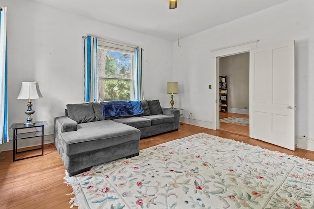 living room with ceiling fan and wood-type flooring