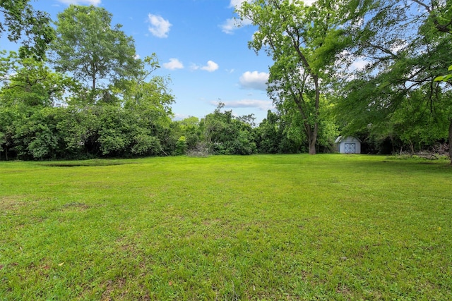 view of yard featuring a storage shed