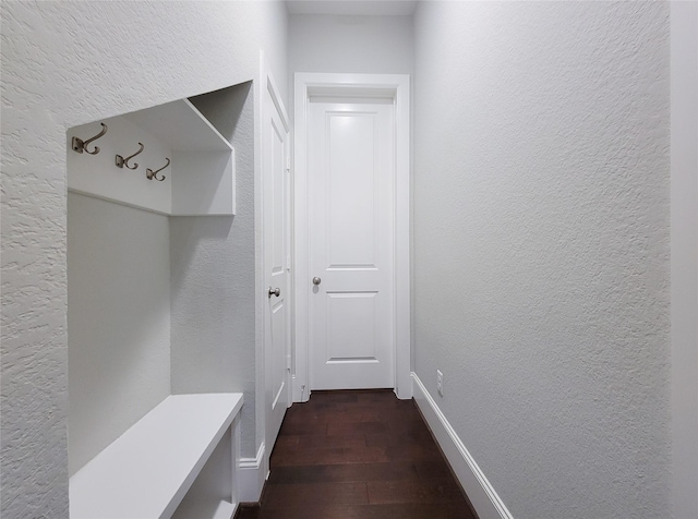 mudroom with dark hardwood / wood-style flooring