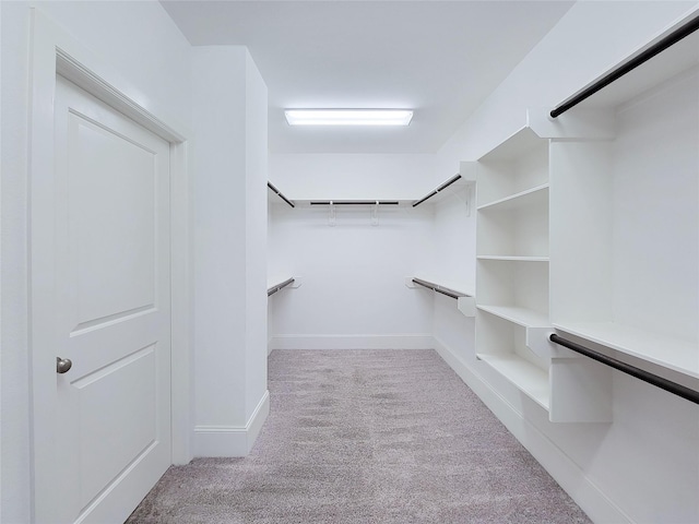 walk in closet featuring light colored carpet