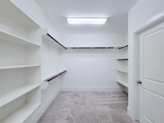 walk in closet featuring light colored carpet