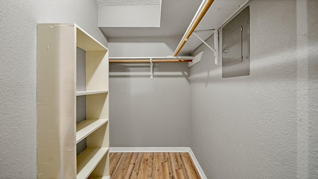 walk in closet with electric panel and hardwood / wood-style floors