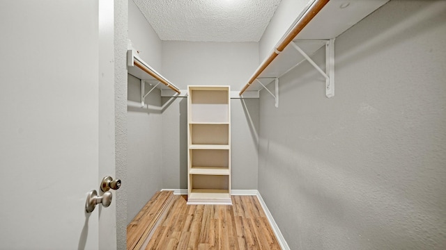 spacious closet featuring hardwood / wood-style floors