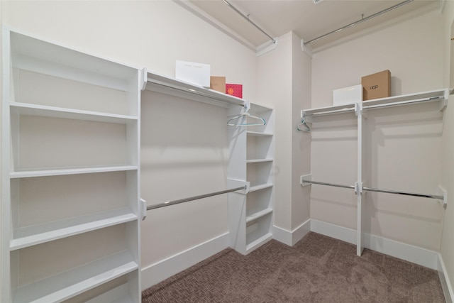 walk in closet featuring carpet and vaulted ceiling