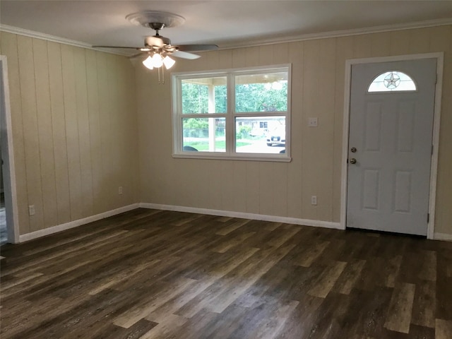 foyer entrance featuring ornamental molding, ceiling fan, dark wood-type flooring, and wood walls