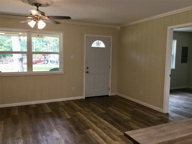 entryway featuring dark hardwood / wood-style floors, ceiling fan, ornamental molding, and electric panel