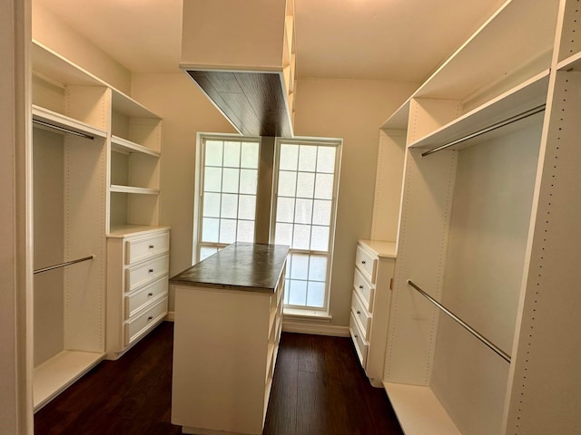 spacious closet featuring dark wood-type flooring