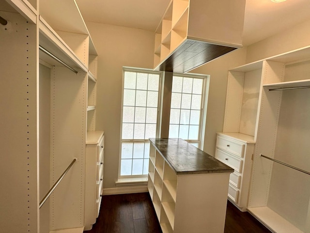 spacious closet featuring dark wood-type flooring