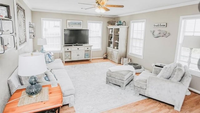 living room featuring light hardwood / wood-style flooring, ceiling fan, and crown molding