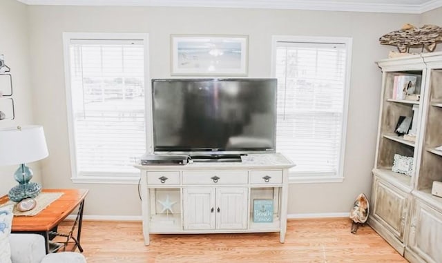 living room featuring light wood-type flooring, crown molding, and a wealth of natural light