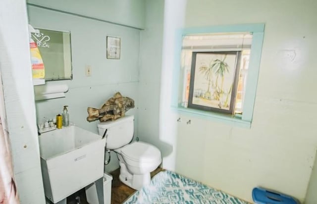 bathroom featuring toilet and sink