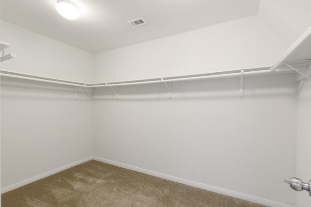 spacious closet featuring carpet