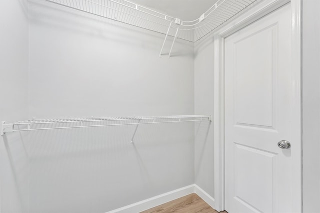 spacious closet featuring wood-type flooring