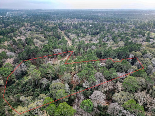 10008 Bentley Dr, Hockley TX, 77447 land for sale