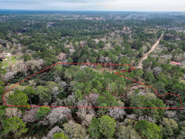 10008 Bentley Dr, Hockley, TX 77447 - photo 2