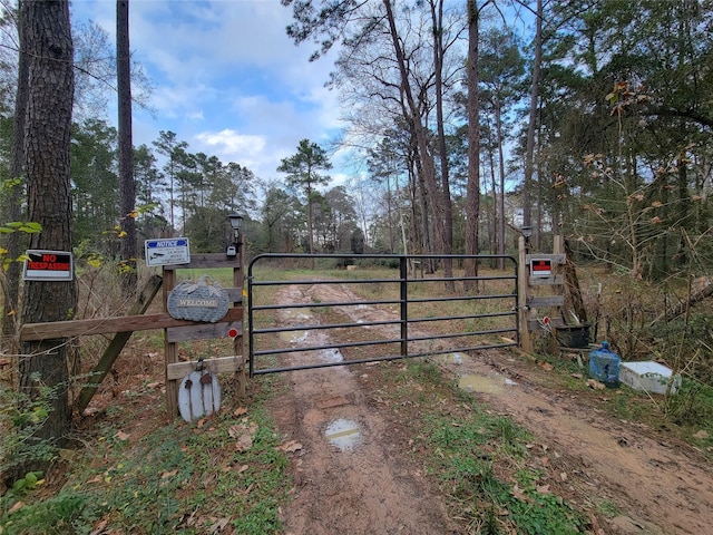 10008 Bentley Dr, Hockley, TX 77447 - photo 3