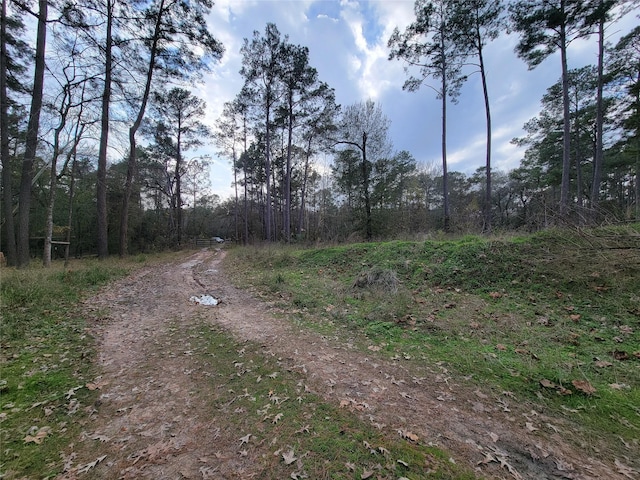 10008 Bentley Dr, Hockley, TX 77447 - photo 4