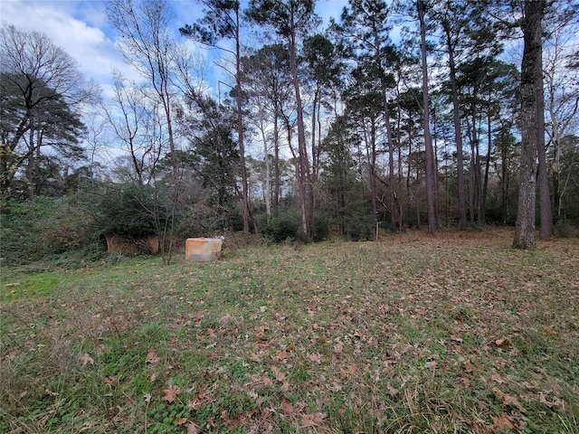 10008 Bentley Dr, Hockley, TX 77447 - photo 6