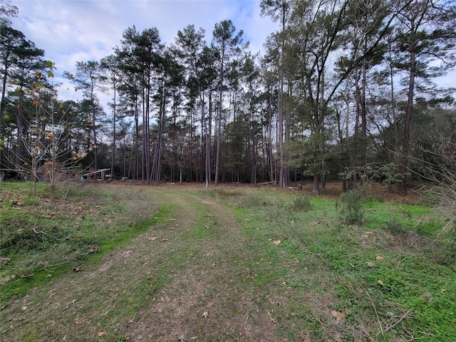 10008 Bentley Dr, Hockley, TX 77447 - photo 7
