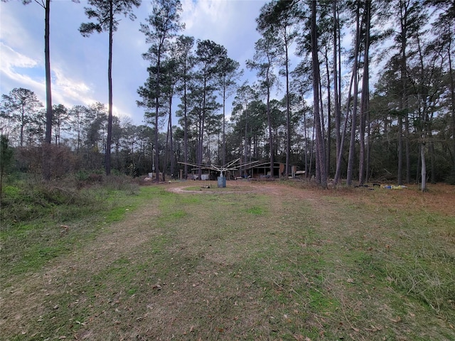 10008 Bentley Dr, Hockley, TX 77447 - photo 9