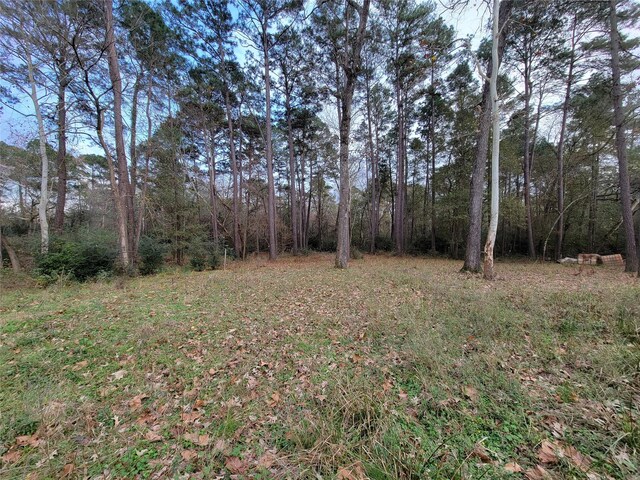 10008 Bentley Dr, Hockley, TX 77447 - photo 20