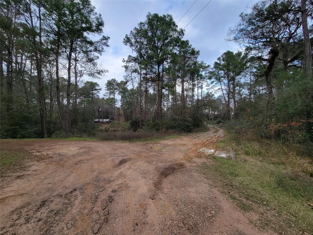 10008 Bentley Dr, Hockley, TX 77447 - photo 22