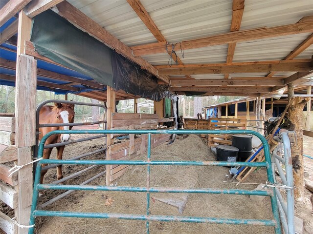 10008 Bentley Dr, Hockley, TX 77447 - photo 12
