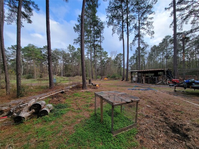 10008 Bentley Dr, Hockley, TX 77447 - photo 16