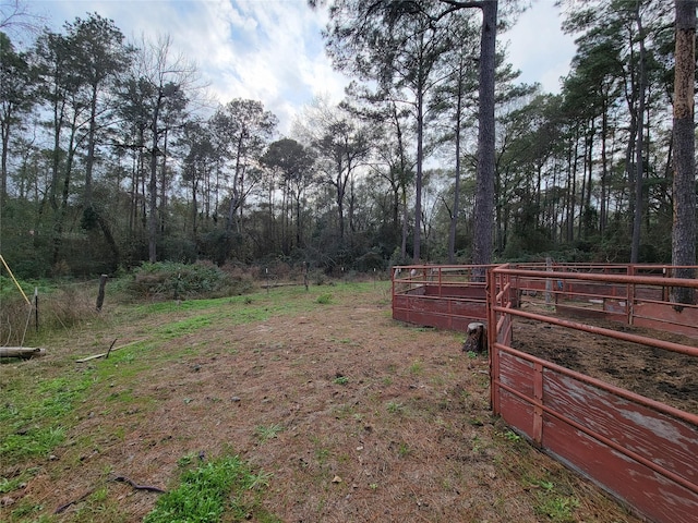 10008 Bentley Dr, Hockley, TX 77447 - photo 18