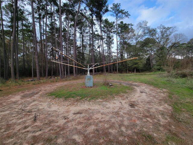 10008 Bentley Dr, Hockley, TX 77447 - photo 19