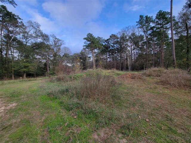 10008 Bentley Dr, Hockley, TX 77447 - photo 30