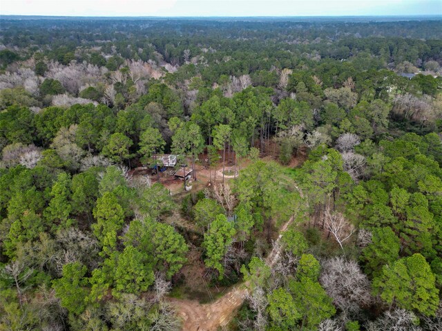 10008 Bentley Dr, Hockley, TX 77447 - photo 26