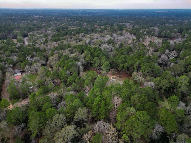 10008 Bentley Dr, Hockley, TX 77447 - photo 21