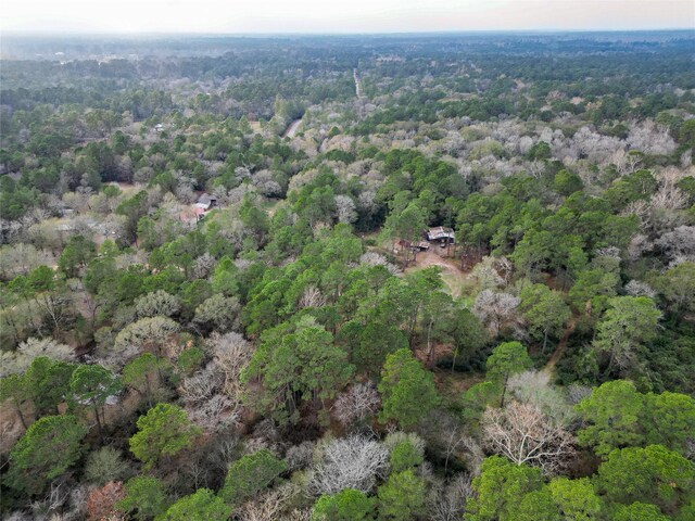 10008 Bentley Dr, Hockley, TX 77447 - photo 27