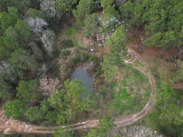 10008 Bentley Dr, Hockley, TX 77447 - photo 31