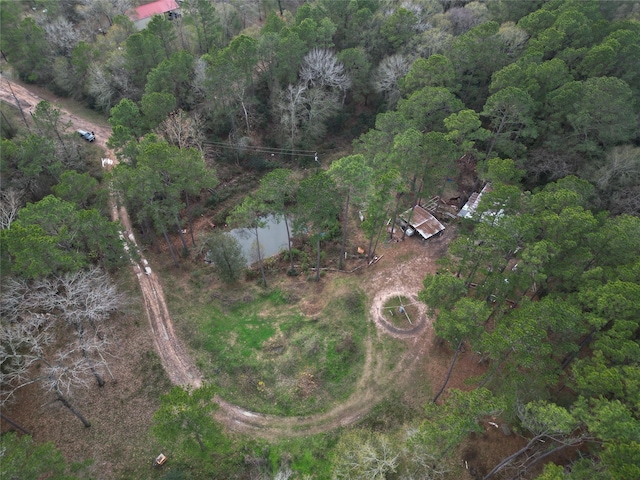 10008 Bentley Dr, Hockley, TX 77447 - photo 32