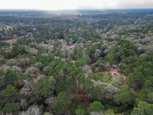 10008 Bentley Dr, Hockley, TX 77447 - photo 28